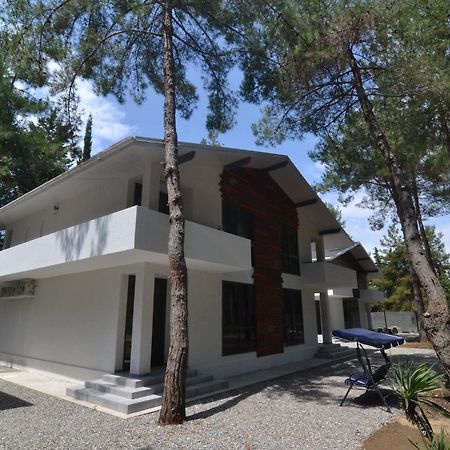 Hotel Apra Pizunda Luaran gambar